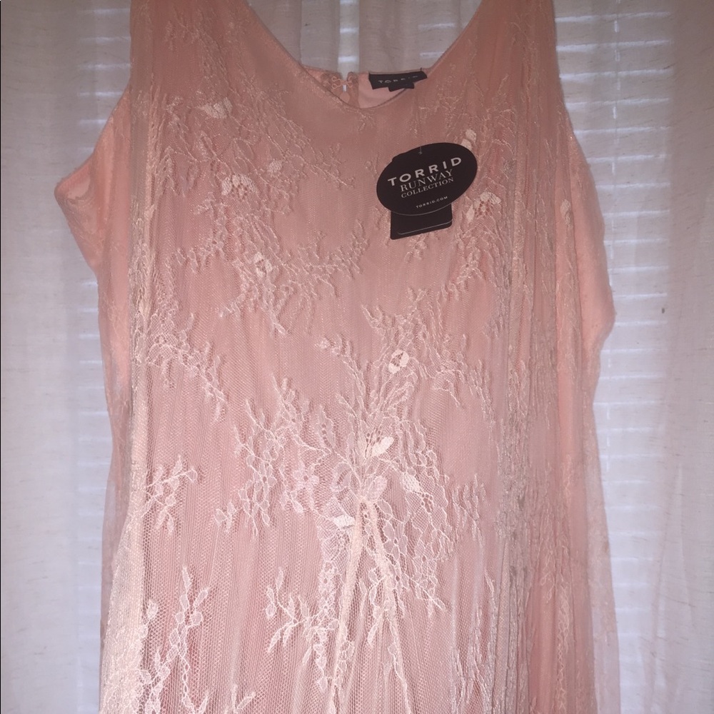 Beautiful Lace Torrid Dress